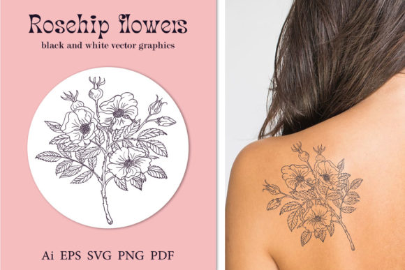 Branch with Rosehip Flowers. Vector Draw Graphics and Illustrations