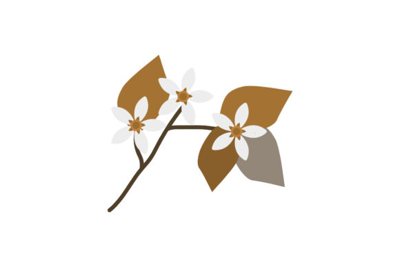 Flowers Beauty Botanical Vector: Graphics and Illustrations for Editorial Use