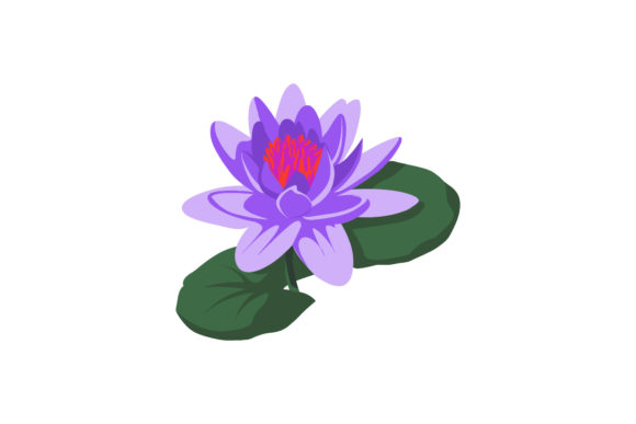 Flowers Beauty Spring Flora Botanical Graphics and Illustrations Review