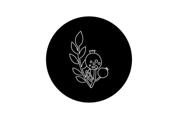 Flowers Botany White Line Style Graphics Freebies Review