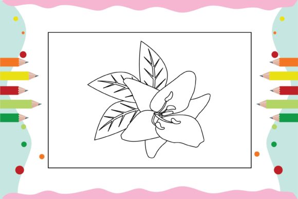 Flowers Coloring Pages for Kid 37: A Designer’s Embroidery Review