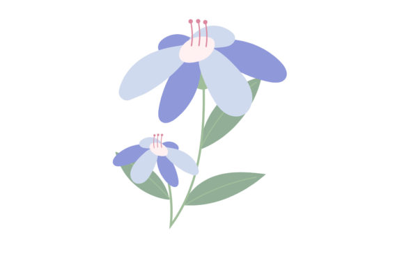 Flowers Nature Garden Graphics and Illustrations Review