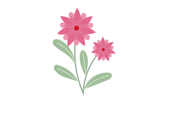 Flowers Nature Summer Plant Graphics and Illustrations Review