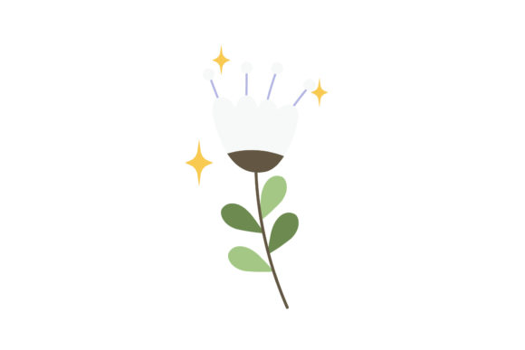 Flowers Plant Spring Collection Graphics and Illustrations Review